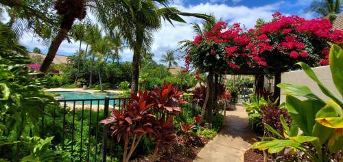 Maui Kamaole #h-108