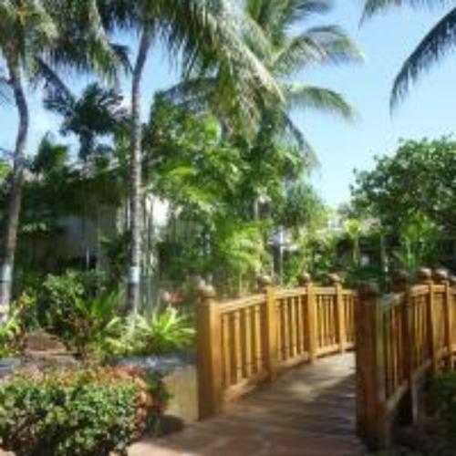 Ko Olina Resort Coconut Plantation Near Beach