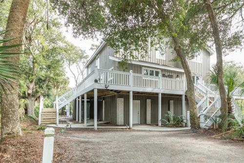 Sharkbait On Fripp Island