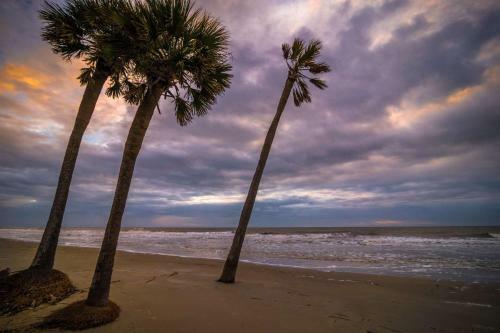 Fripp Tide At Capt John