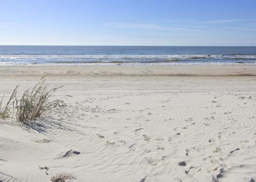 Lantana By The Sea