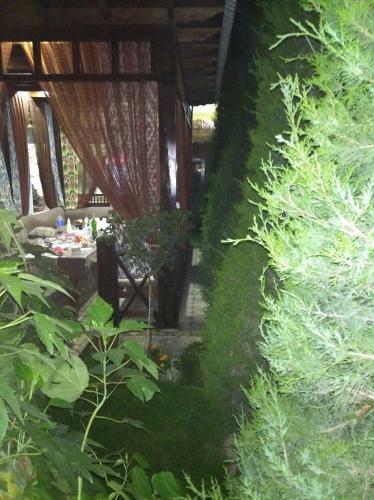 Hostal Green House Eco Hotel