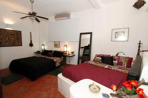 Hostal Steviewonderland Playa El Yaque