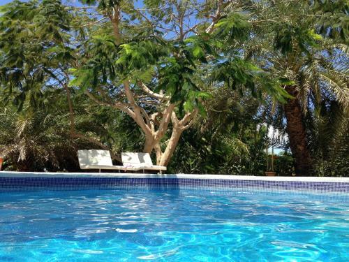 Hostal Steviewonderland Playa El Yaque