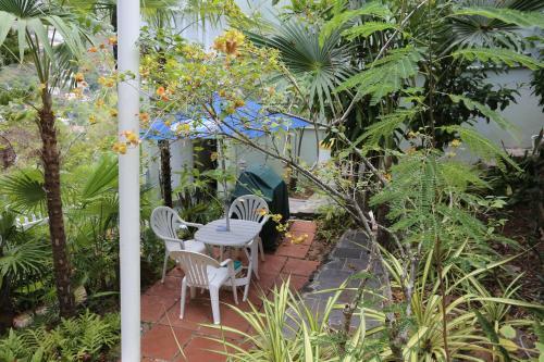 Posada The Green Iguana Hotel