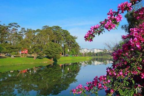 Hotel C? Homestay ?� L?t