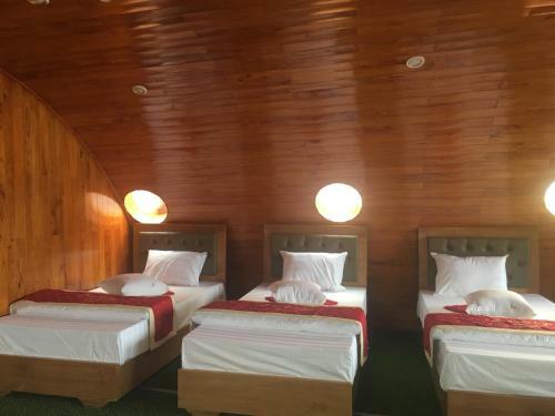 Cat Ba Gem Cruises