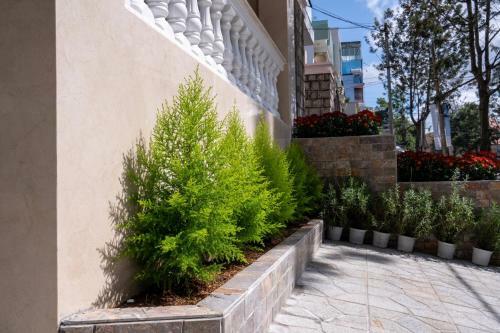 Apartamento N'queen Villa