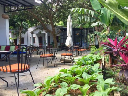 Eden House & Coffee Con Dao