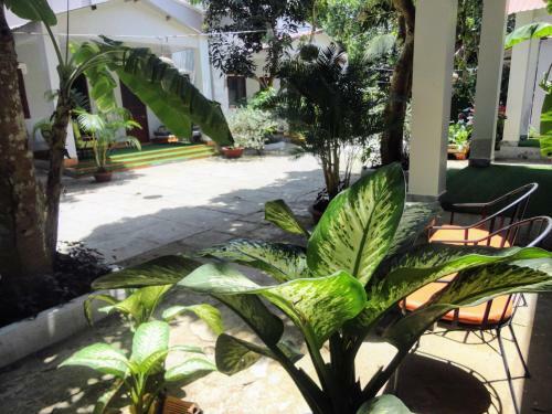 Eden House & Coffee Con Dao