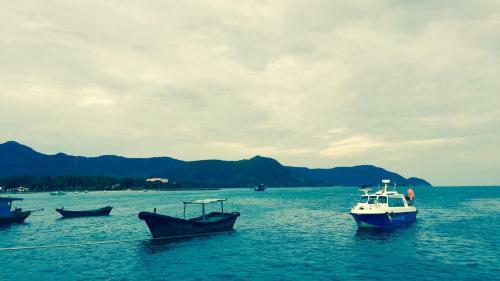 Eden House & Coffee Con Dao