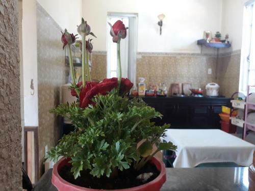 Villa Dalat Moka Coffee House
