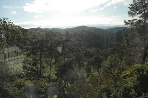 Golden Gem Hostel Dalat (sandavang)