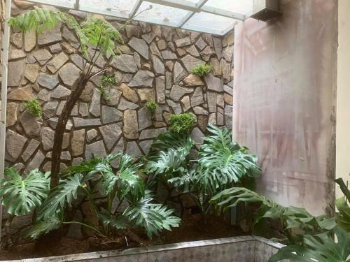 Apartamento Nh� C?a S�c