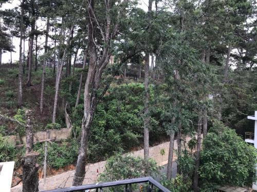 Moonstone Hotel Dalat