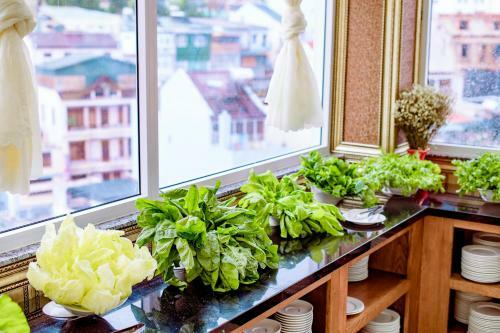 Queen T&t Dalat Hotel