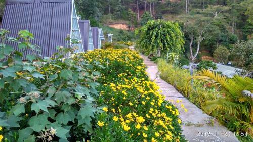 Tuy?t Hoa H�n B? Bungalow