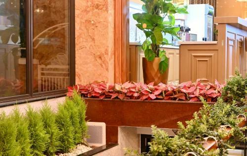 La Fleur Premium Central Apartment