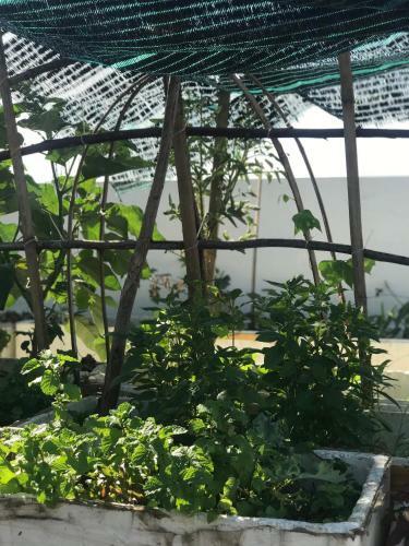 Apartamento Henry House Da Nang