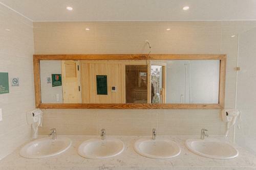 Albergue Posiki Dorm & Caf�