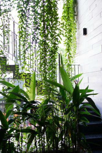 Hotel Konoha Boutique Villa