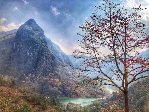 Hit The Road Ha Giang Hostel And Tours