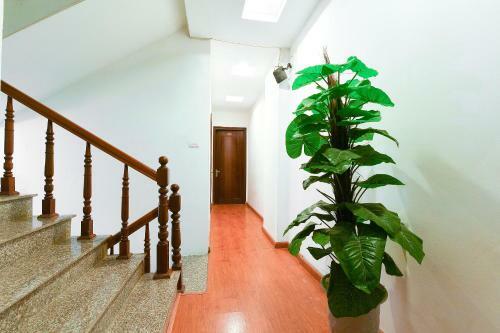 Oyo 208 Arowana Hotel