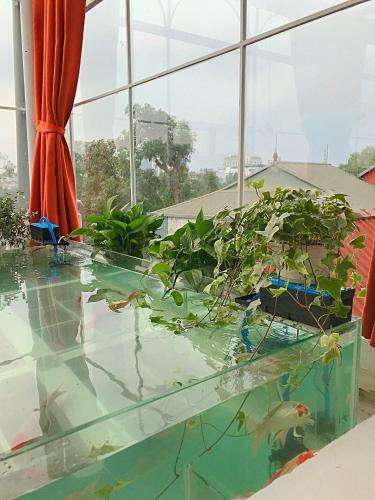 Langmandi Homestay