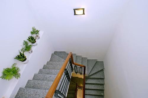 Focus Homestay