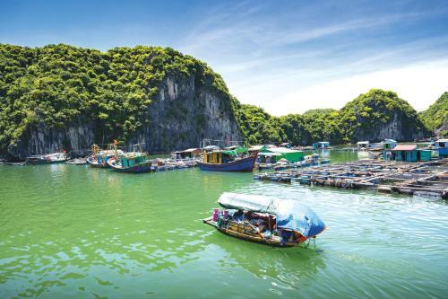 Sena Cruises - Wonder On Lan Ha Bay