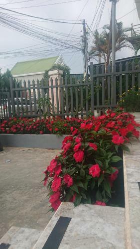 Tada Dalat Apartments