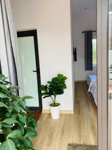 Apartamento Camellia's Home / Nh� Tr�