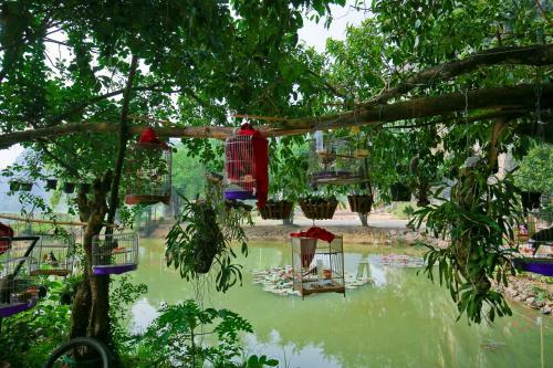 Posada Trang An Passion Homestay