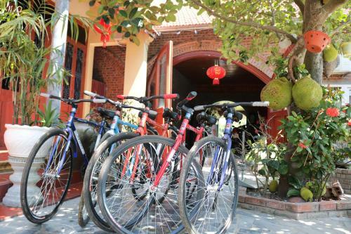 Hang Mua Homestay