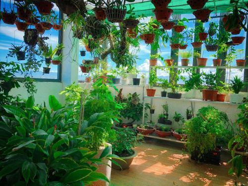 Nomad Ninh Chu Hotel