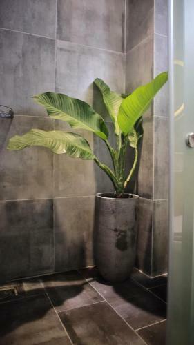 Nomad Ninh Chu Hotel