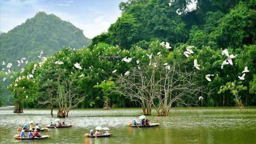Albergue Trang An Freedom Hood
