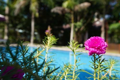 Hotel Hoa Nhat Lan Bungalow