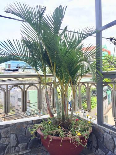 Apartamento M?t M� Homestay Phan Rang Ninh Thu?n
