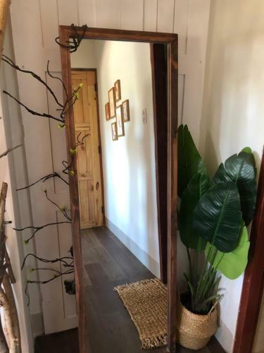 Sea Urchin Homestay