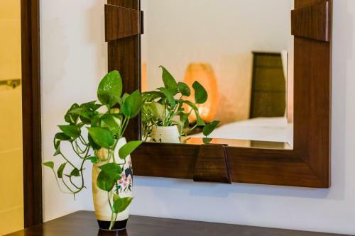 Hotel Sun Villa Muine