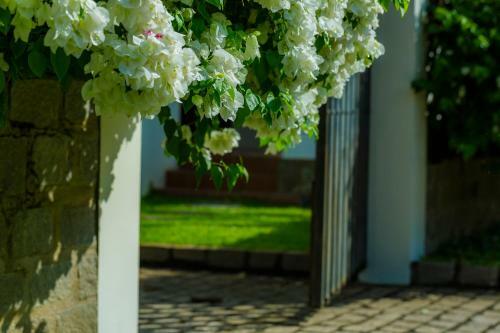 Hotel Sun Villa Muine