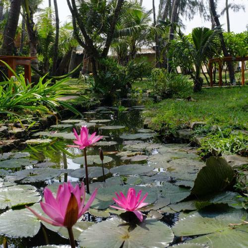 Hotel Cassia Cottage