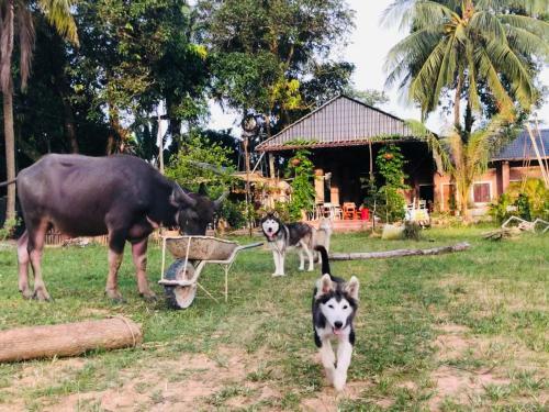 Agroturismo Happy Farm Pq