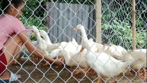 Agroturismo Happy Farm Pq