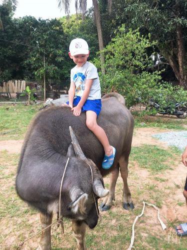 Agroturismo Happy Farm Pq