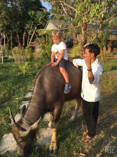 Agroturismo Happy Farm Pq
