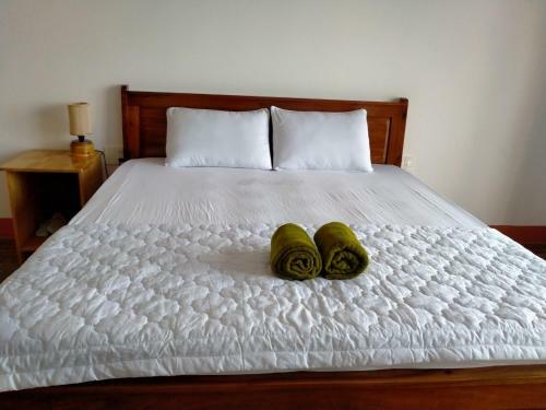 Hostal Kim Lien Phu Quoc Guesthouse