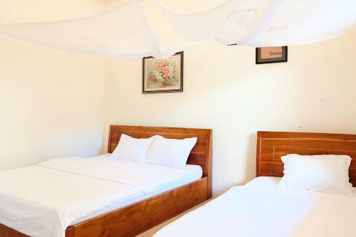 Hostal The Palm Tree Guesthouse