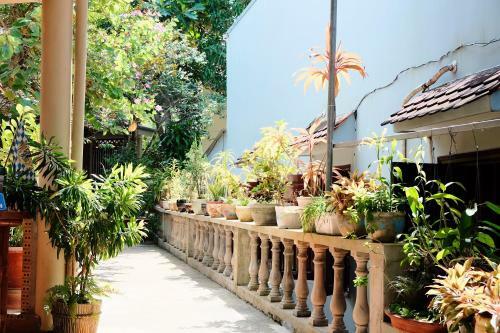 Hostal The Palm Tree Guesthouse